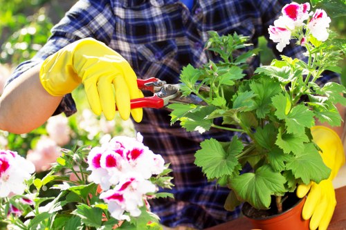 Professionals performing garden clearance in Emma Gardening