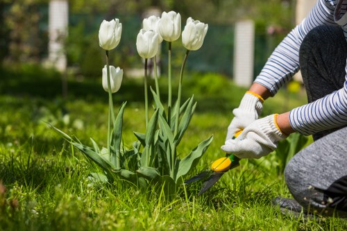 Front view of a homeowner discussing landscaping services with a professional at a bungalow property