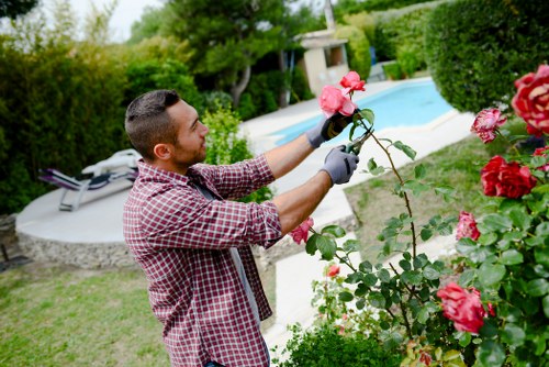 Beautifully landscaped garden with vibrant flowers and greenery