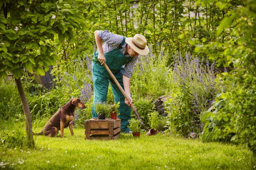 Gardener trimming a hedge with precision