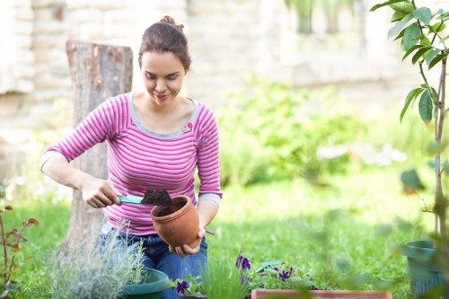 Healthy and vibrant lawn maintained by Emma Gardening Services