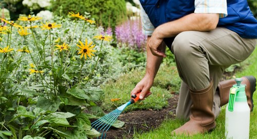 Equipment used for garden clearance by Emma Gardening