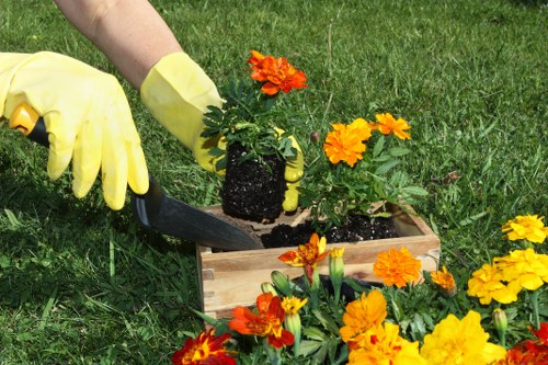 Sustainable Practices in Emma Gerdening Services
