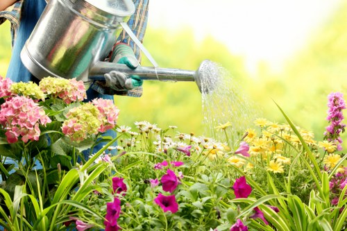 Customized lawn care plan meeting unique lawn needs
