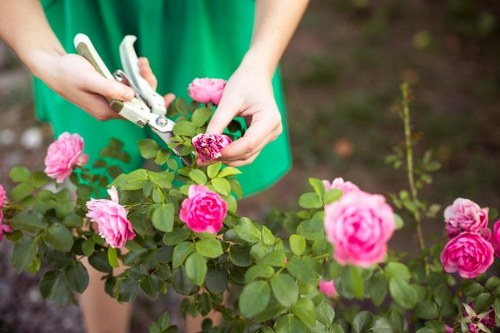 Stunning garden features created by Emma Gardening Services