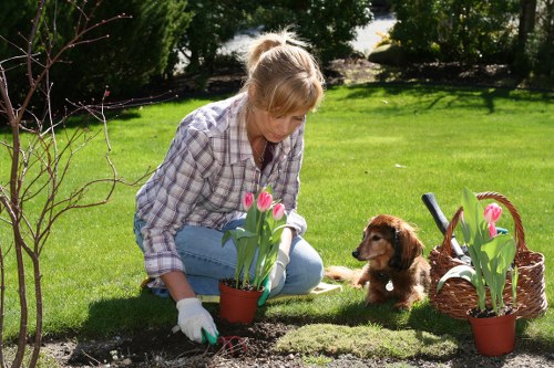 Emma Gardening Services team at work