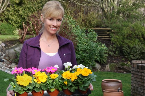Emma Gardening Services team with modern lawn mowing equipment